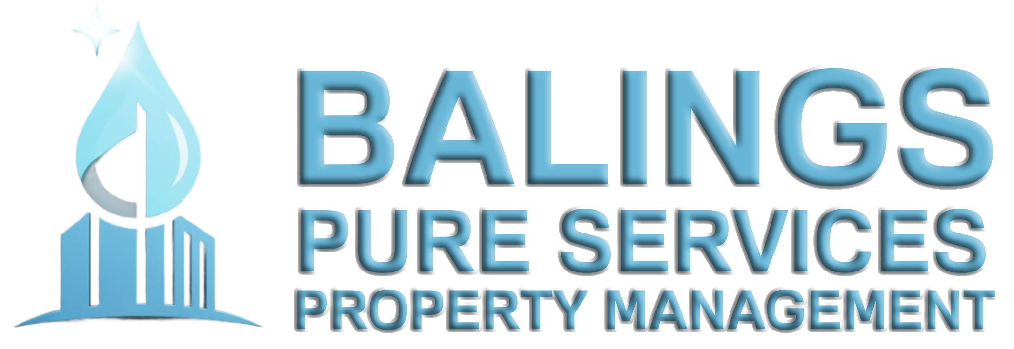 Balings Pure Services